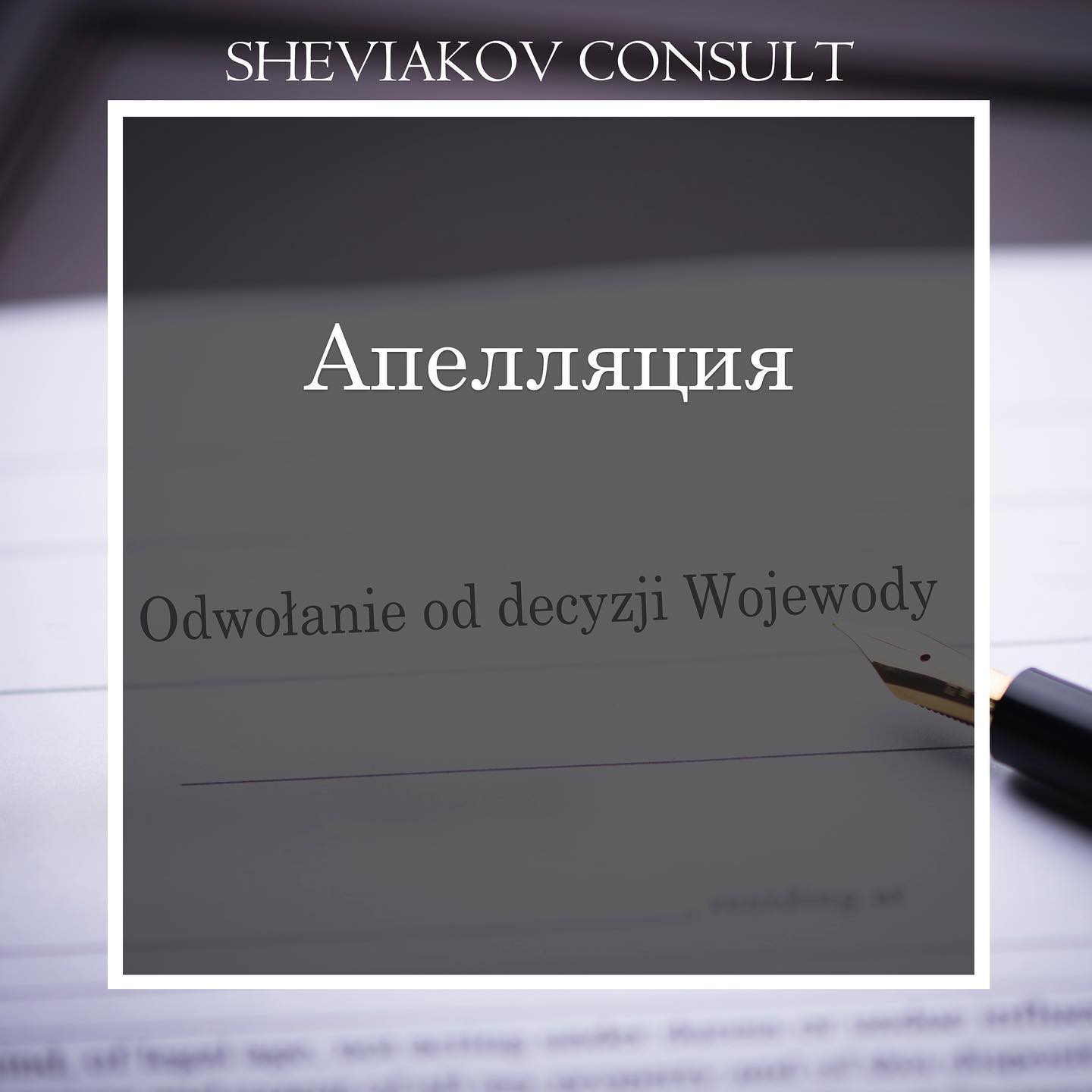 Для того чтобы правильно составить и подать апелляцию сначала нужно определить основания для обжалования.