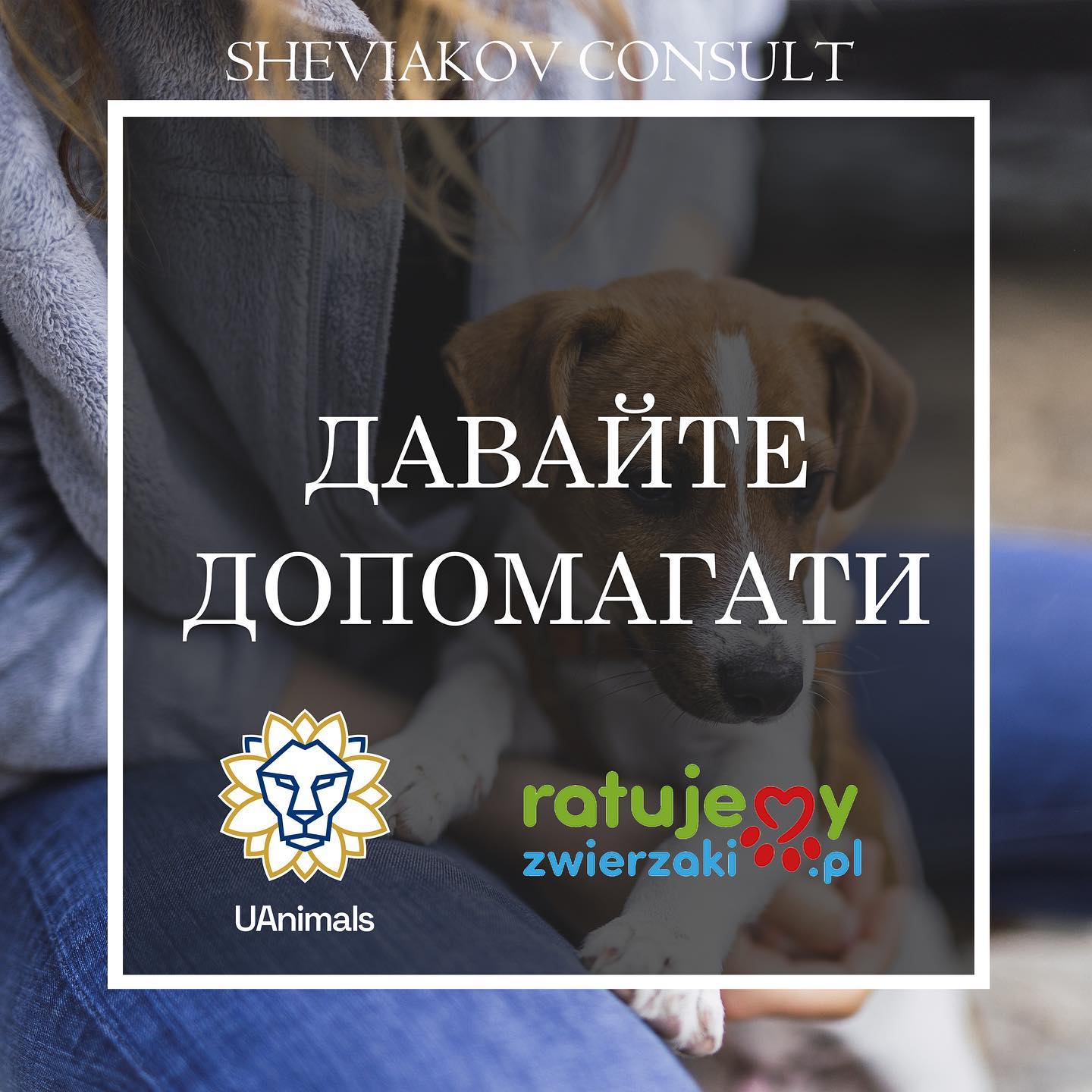 Помогать животным может каждый, и это очень легко ?